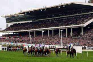 Best Cheltenham Betting Sites to Bet on Allaho to Win the Ryanair Chase