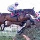 Best Cheltenham Sign Up Offers | £550+ in Cheltenham Free Bets