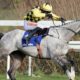 Betfair Cheltenham Betting Offers | £60 Cheltenham Bet Credits for 2022 Festival
