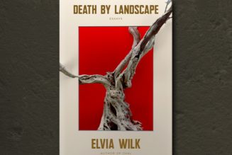 Book Club: Jenny Hval’s Little Words Buzzing Around