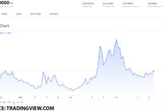 Cardano ecosystem tokens you should not miss: API3, LINK and COTI