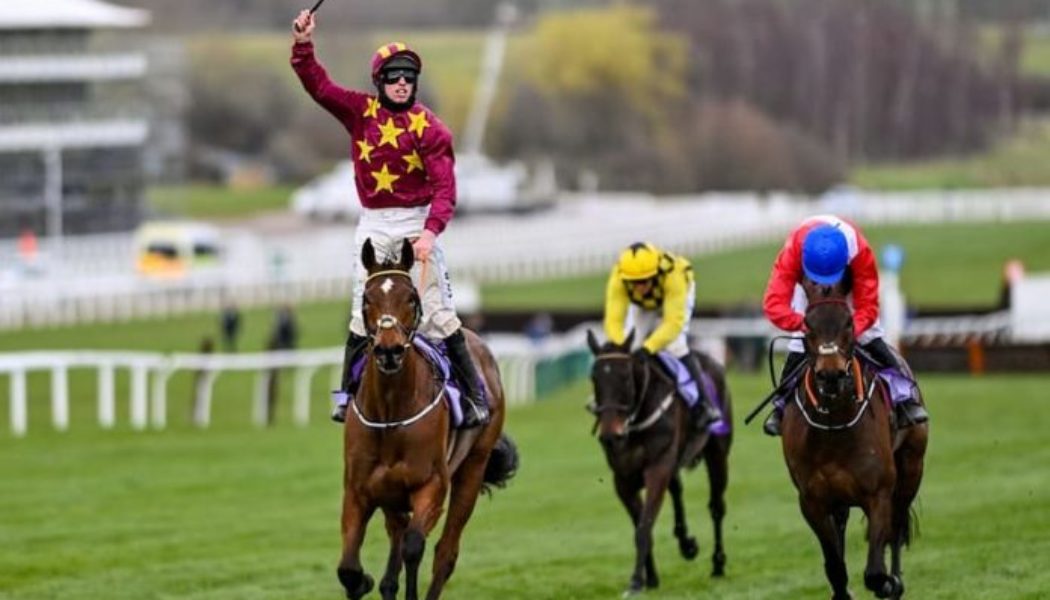 Cheltenham Gold Cup Trends: Minella Indo has a lot of Cheltenham pluses