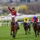 Cheltenham Gold Cup Trends: Minella Indo has a lot of Cheltenham pluses