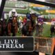 Cheltenham Live Stream: How to watch Cheltenham Festival Live Stream for Free