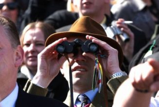 Cheltenham Live Streaming | How To Stream Cheltenham Live