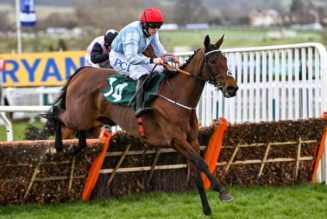 Cheltenham Tips: Mares Hurdle Predictions and Best Bets