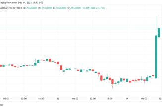 Crypto vs. physical: Musk-Saylor inflation debate boils down to scarcity
