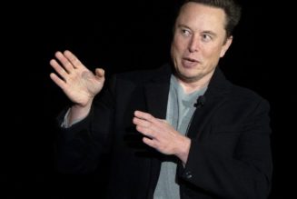 Elon Musk dares autoworkers union: hold a vote at Tesla’s California factory