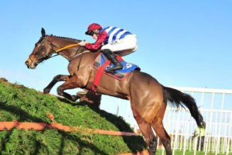 Escaria Ten Grand National 2022 Runner Profile