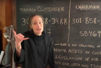 Fiona Apple Shows You How to Call Maryland Lawmakers in Support of Virtual Court Access: Watch