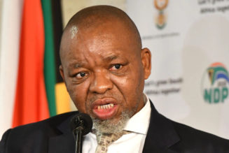 Gwede Mantashe Confirms Plans to Support SAns Amid Petrol Price Hikes