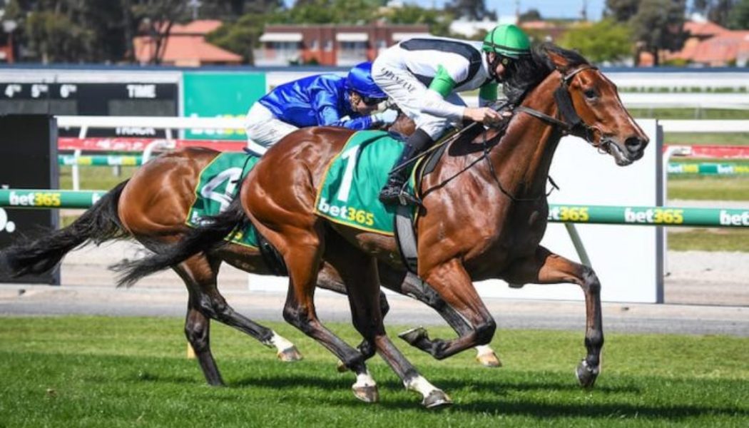 Horse Racing Tips Australia: Sunday’s Free Horse Racing Tips