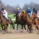 Horse racing tips today: Tuesday’s best UK racing bets