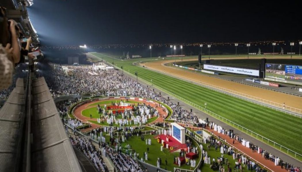 How to Watch the Dubai World Cup For Free | Dubai World Cup Live Stream