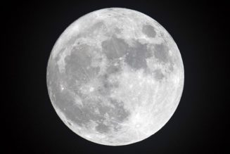 Jeff Koons Will Launch His Sculptures to the Surface of the Moon