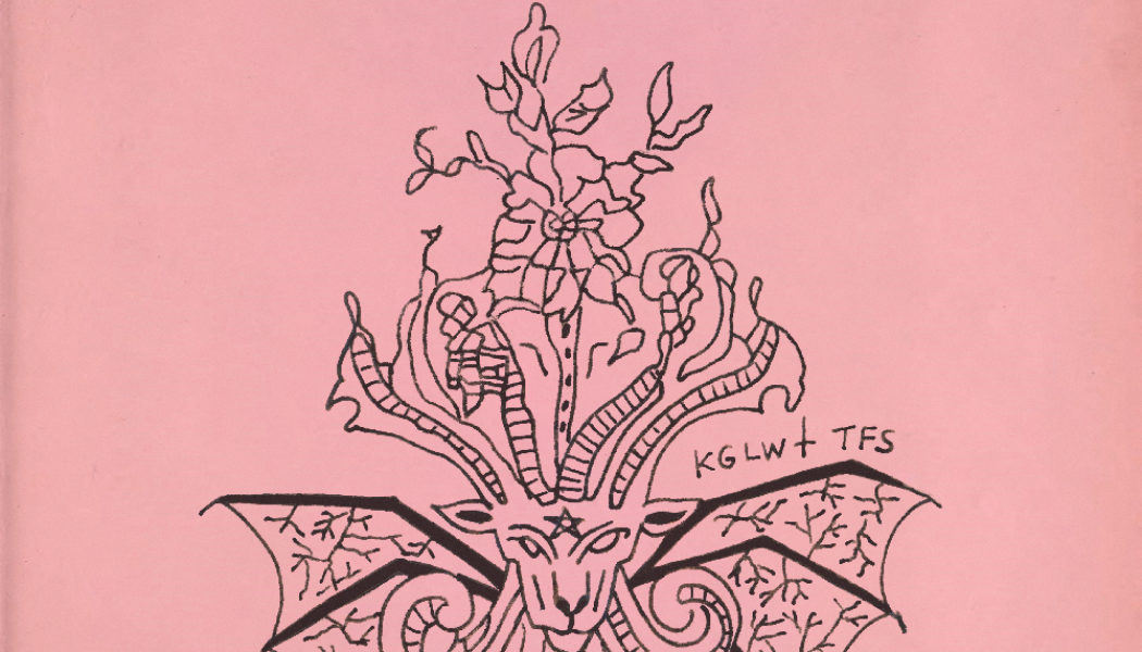 King Gizzard and the Lizard Wizard Team with Tropical Fuck Storm for New EP: Stream