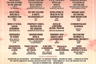 Lightning in a Bottle Announces Compass Music, Learning and Culture Programming Ahead of 2022 Festival