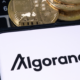 LimeWire chooses Algorand to host its relaunch as an NFT marketplace