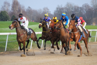 Lucky 15 Tips: Four horses to back on Friday 11th March