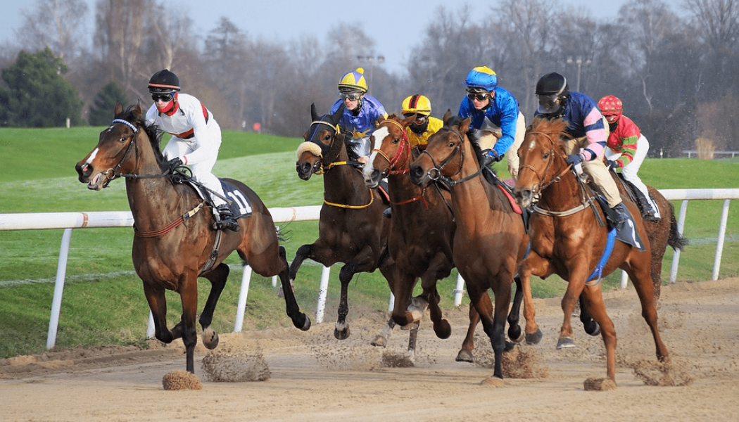 Lucky 15 Tips: Four horses to back on Friday 25th March