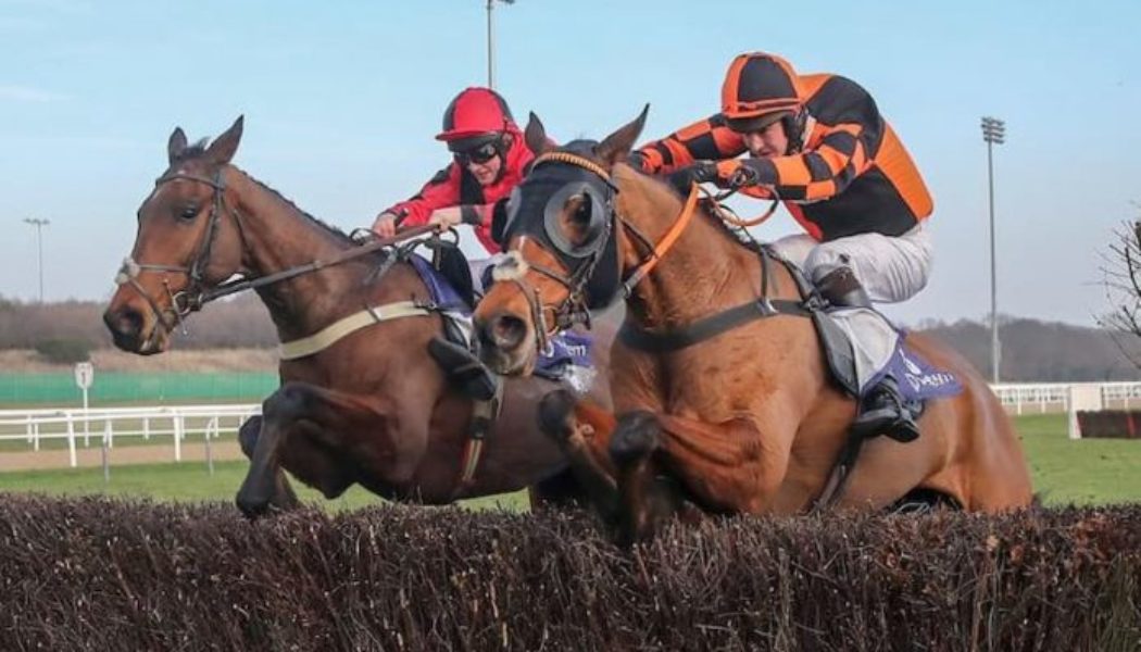 Lucky 15 Tips: Four horses to back on Friday 4th March