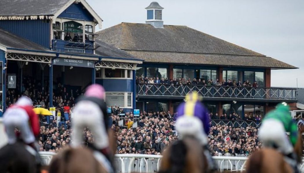 Lucky 15 Tips: Four horses to back on Sunday 13th March