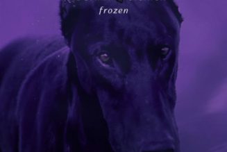 Madonna feat Sickick – Frozen (Fireboy DML Remix)