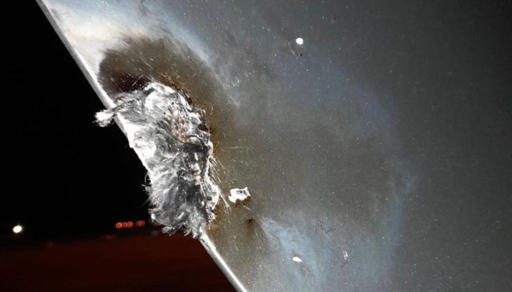 Miley Cyrus’ Plane Makes Emergency Landing After Being Struck By Lightning