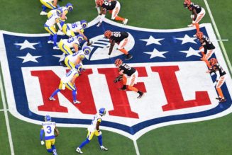 NFL Announces All Teams Must Hire Minority Coach for 2022 Season