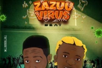 Professional Beat ft Portable – Zazuu Virus