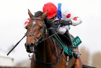 QuinnBet Cheltenham Betting Offers | £25 Cheltenham Bet Credits for 2022 Festival + 10 Free Spins