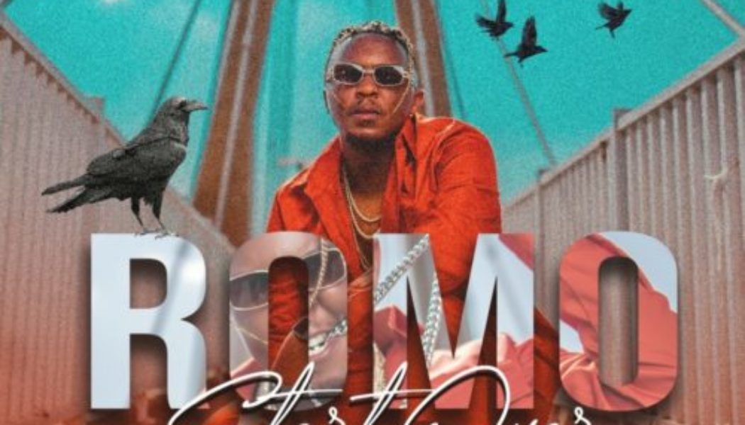 Romo ft Skye Johnson – Protect You