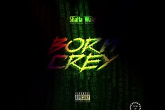Shatta Wale – Born Crey