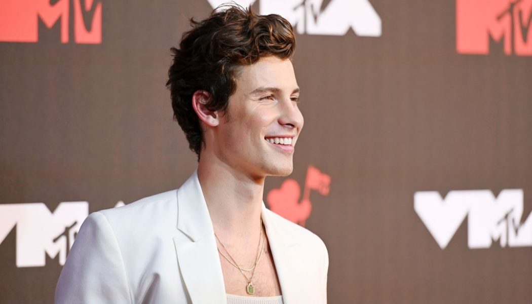 Shawn Mendes Shows Off New Neck Tattoo Ahead of SXSW Set: See Photos