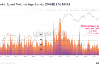 Short term Bitcoin buyers transition to long term holders: Glassnode