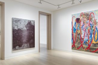 Skarstedt Explores Notions of Authorship in “Take a Picture Make a Picture”