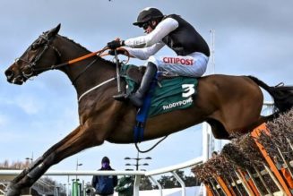 Stayers Hurdle Trends: Is Flooring Porter Worth Taking On at Cheltenham?