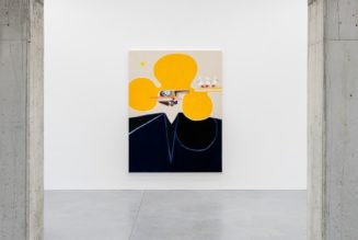 Susumu Kamijo Presents “I’ll Tell You Later” at Stems Gallery