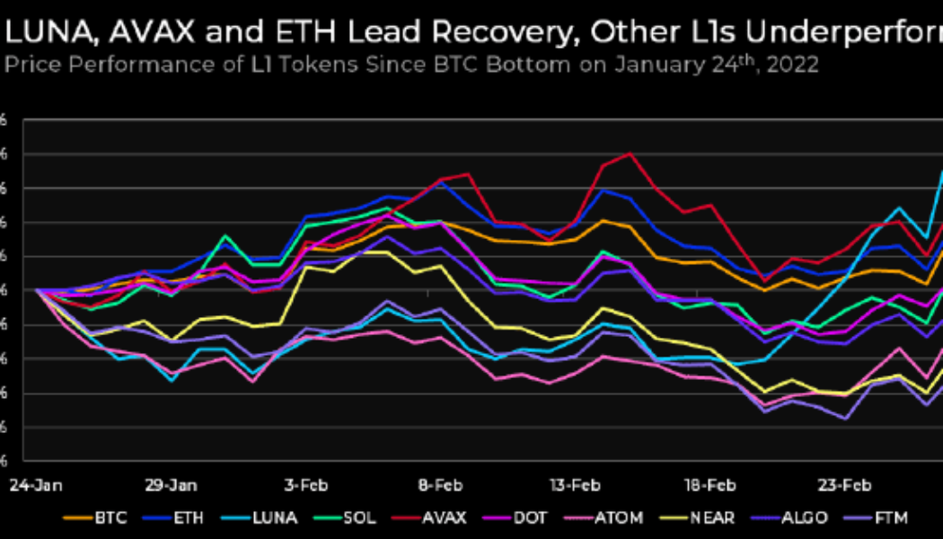 Terra, Avalanche and Osmosis lead the L1 recovery while Bitcoin searches for support