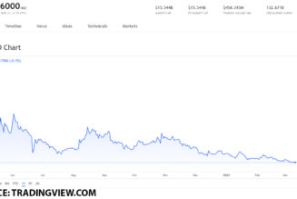 The bests meme-coins you can buy on March 11, 2022: DOGE, SHIB and ELON