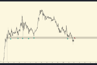 The current rally in the alt markets could be a bull trap, crypto expert warns