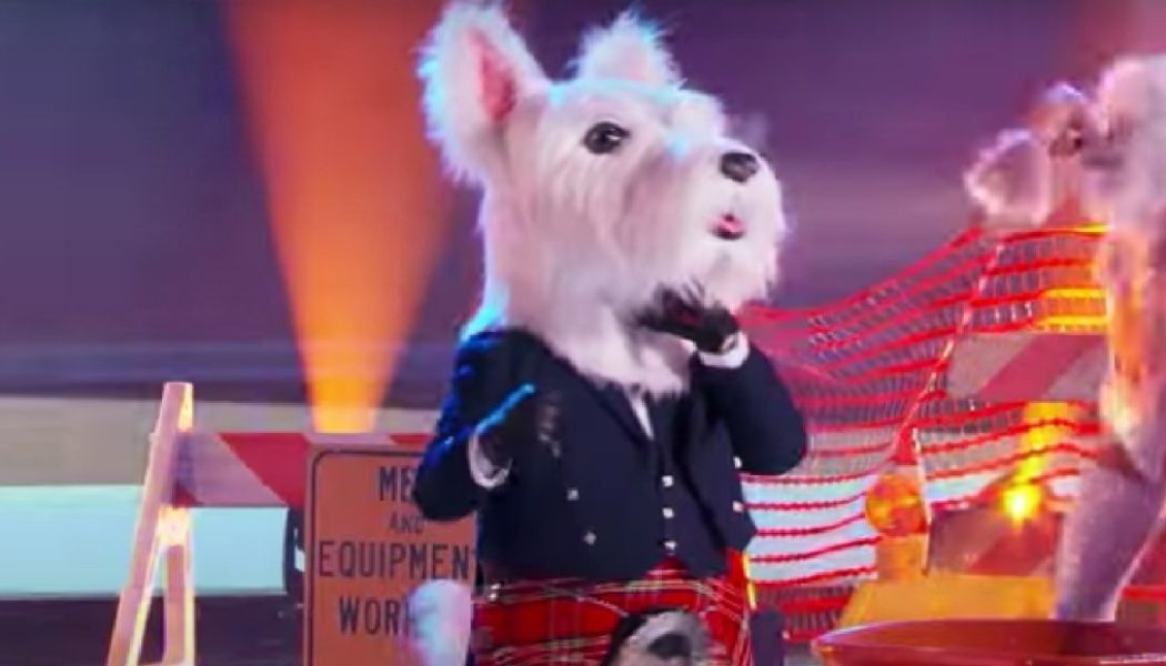 ‘The Masked Singer’ Reveals McTerrier After On-Stage Howler