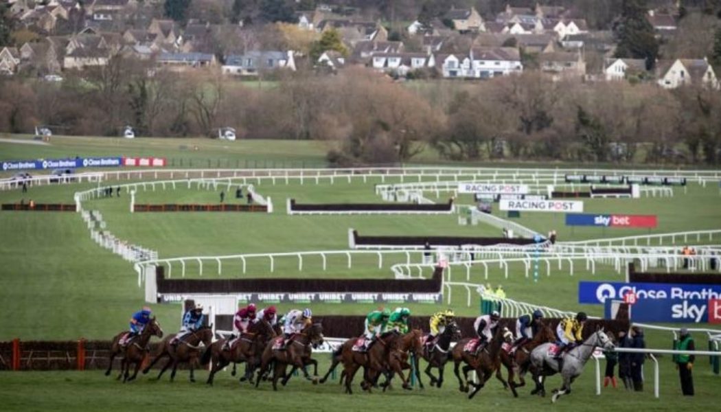 Top 10 New Cheltenham Free Bets You Haven’t Claimed Yet