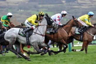 Top 5 New Cheltenham Betting Sites with £125 in Horse Racing Free Bets