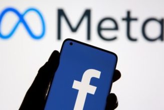 Why the South African Government is Going After Facebook & Meta
