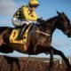 William Hill Cheltenham Betting Offers | £50 Cheltenham Free Bet for 2022 Festival