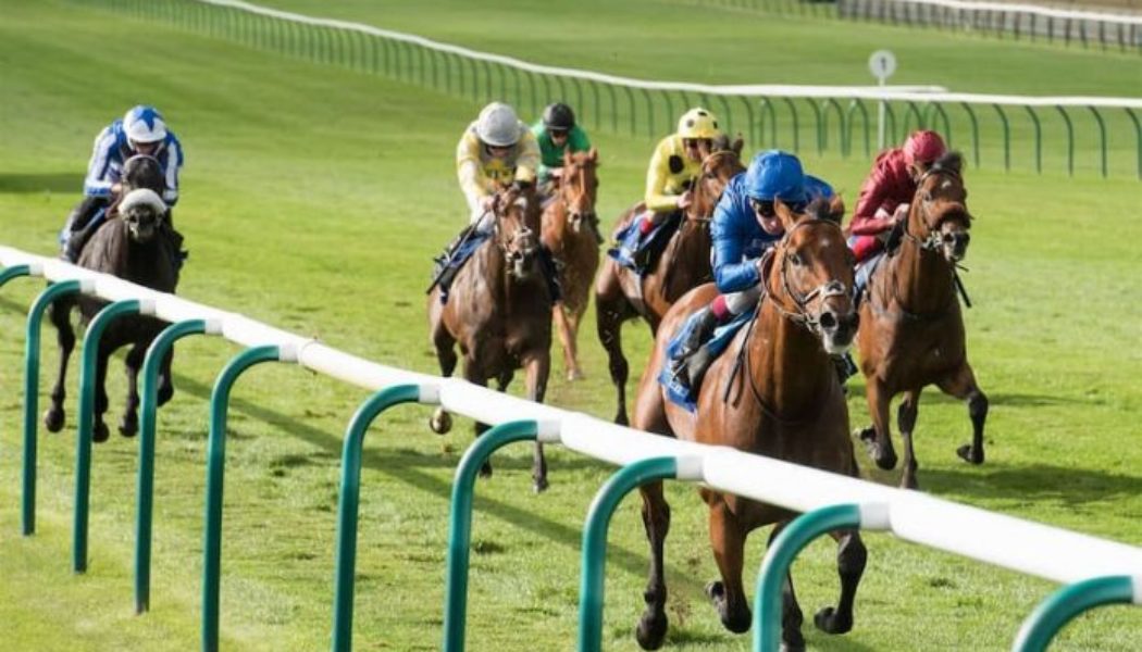 2000 Guineas Trends | Tips To Help Find The Newmarket Race Winner