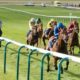 2000 Guineas Trends | Tips To Help Find The Newmarket Race Winner