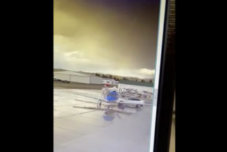 A Tesla vehicle using ‘Smart Summon’ appears to crash into a $3.5 million private jet