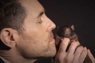 AFI’s DAVEY HAVOK Blasts Animal Experiments In New PETA Spot For ‘World Rat Day’